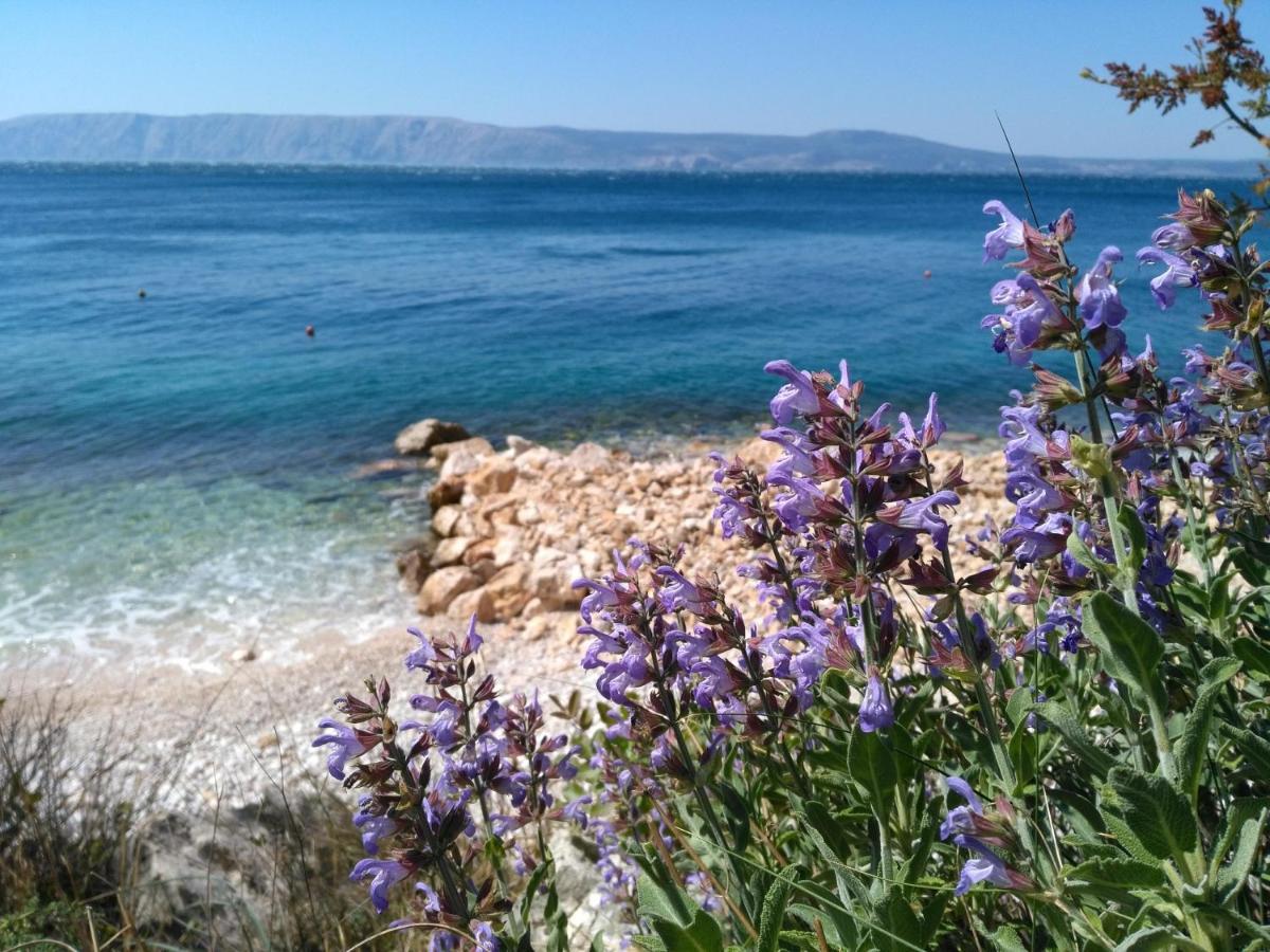 Loft-Beach-Apartments Ratko Novi Vinodolski Dış mekan fotoğraf